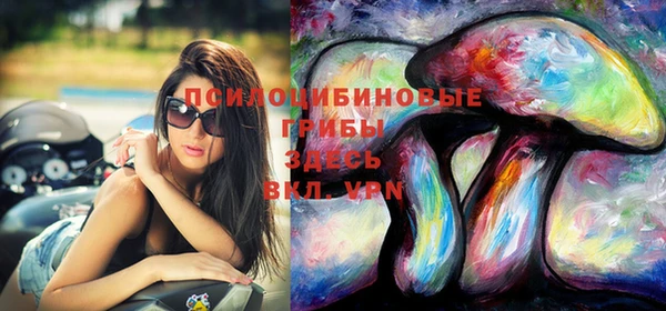 тгк Бронницы