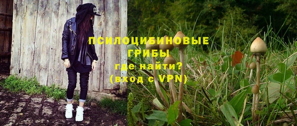 тгк Бронницы